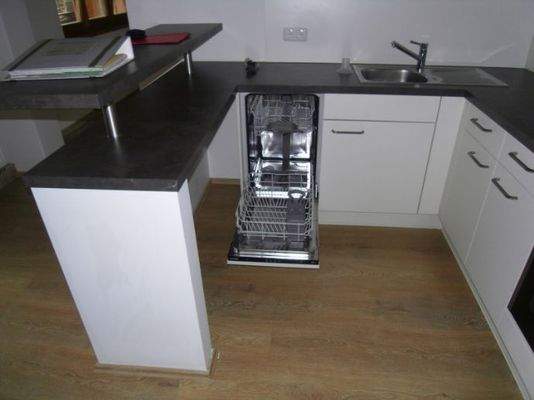 mit Geschirrspüler