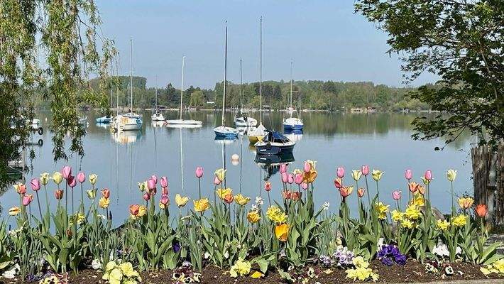 Frühling am See