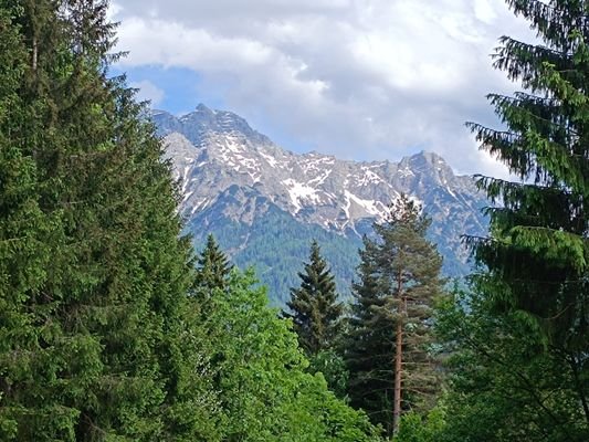 Bergblick