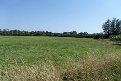 Marklohe / Oyle Bauernhöfe, Landwirtschaft, Marklohe / Oyle Forstwirtschaft