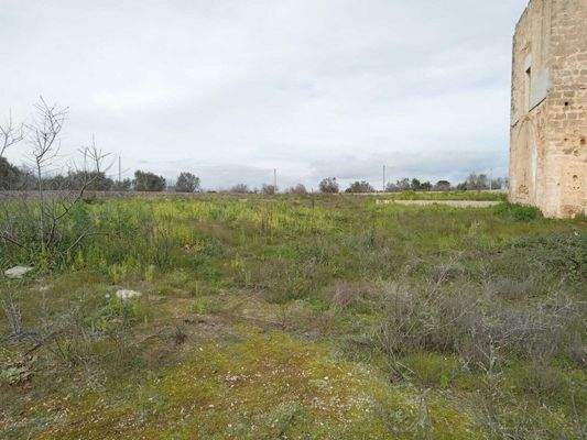 Masseria li Rizzi in Copertino (Lecce)