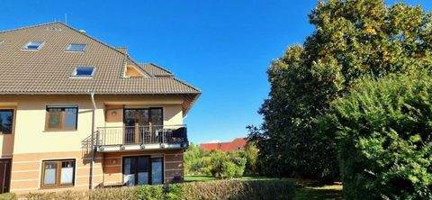 Nienhagen Wohnungen, Nienhagen Wohnung kaufen