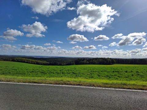 Seifersdorf Bauernhöfe, Landwirtschaft, Seifersdorf Forstwirtschaft