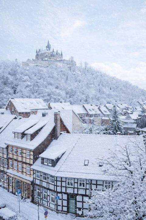 Wernigerode Häuser, Wernigerode Haus kaufen