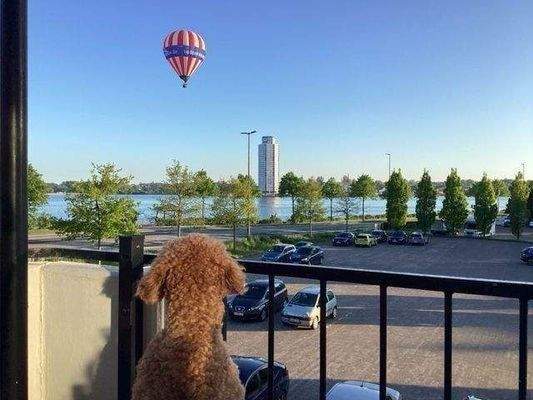 Südwest Balkon mit Schleiblick