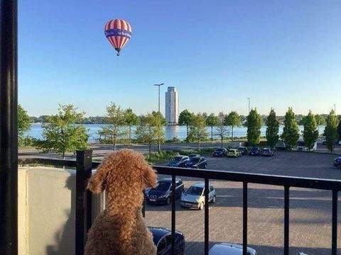 Schleswig Wohnungen, Schleswig Wohnung kaufen