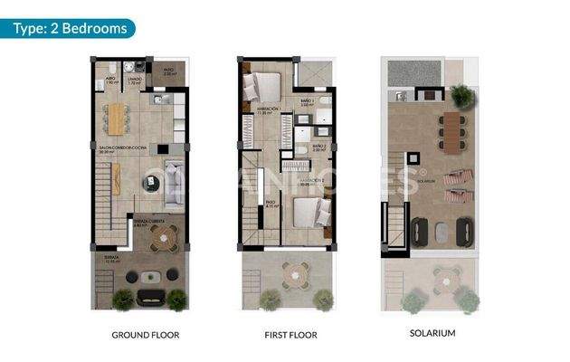 Chic Townhouses with Solariums in Dolores Alicante