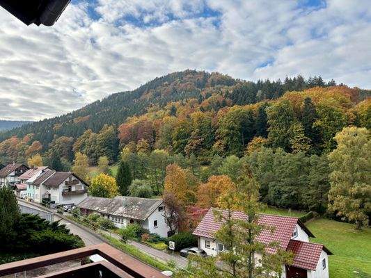 Ankommen im Nordschwarzwald!