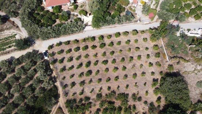 Kreta, Modi: Grundstück mit hohen Baurechten in Meeresnähe zu verkaufen