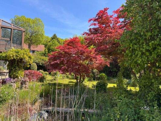 Garten_Sontra_Mehrfamilienhaus