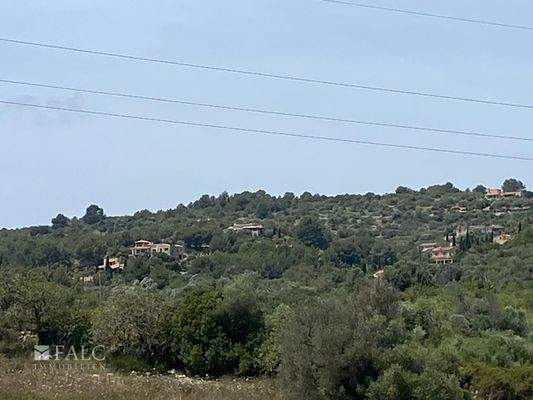 ... auf die grünen Hügel ...