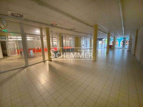 Elzach Halle, Elzach Hallenfläche