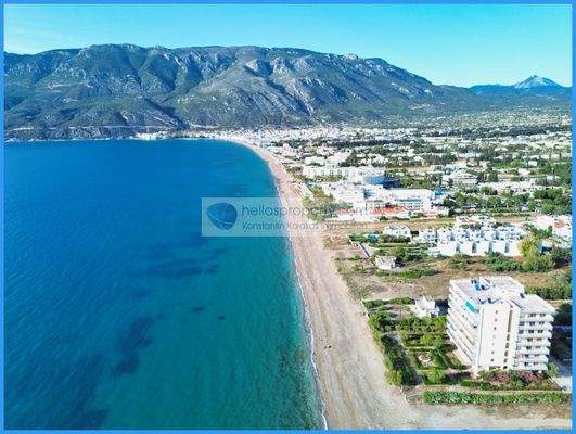 8c10bf475c384e2b8e57e3c2e27aa4c8-original