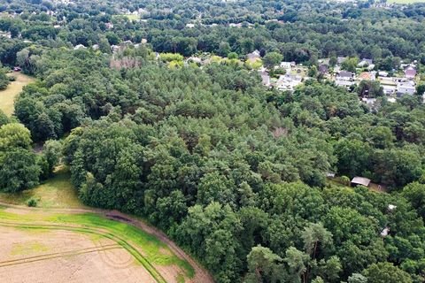 Zossen OT Dabendorf Bauernhöfe, Landwirtschaft, Zossen OT Dabendorf Forstwirtschaft