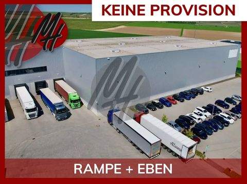 Nieder-Olm Halle, Nieder-Olm Hallenfläche