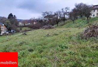 Blick aufs Grundstück