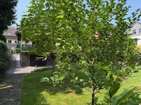 weitere Ansicht vom Grundstück