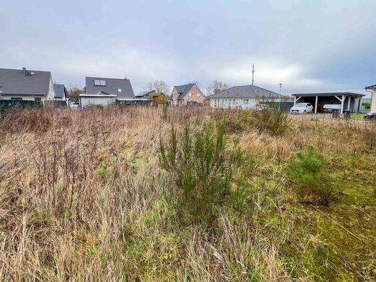 großer Garten hinten