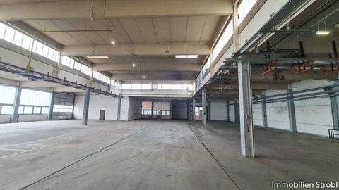 Göming Halle, Göming Hallenfläche