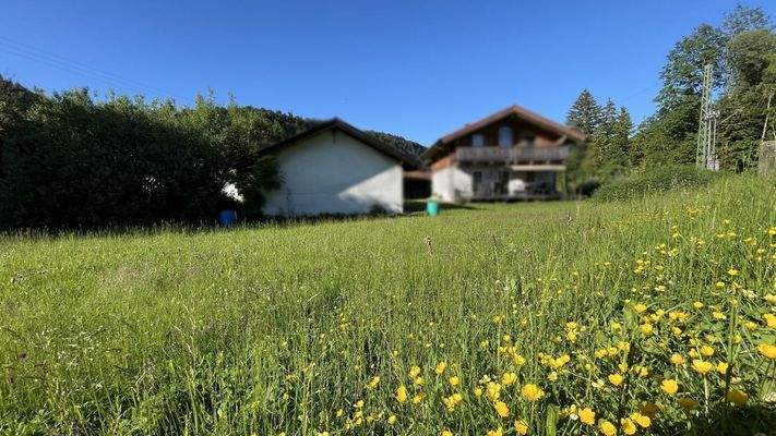 Blick auf das Grundstück