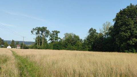 Dießen am Ammersee Bauernhöfe, Landwirtschaft, Dießen am Ammersee Forstwirtschaft