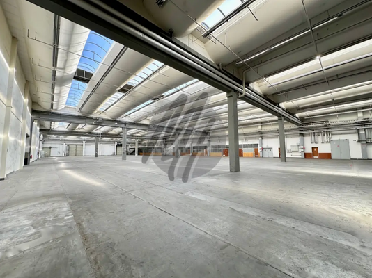 INFOS UNTER: 06171-586000