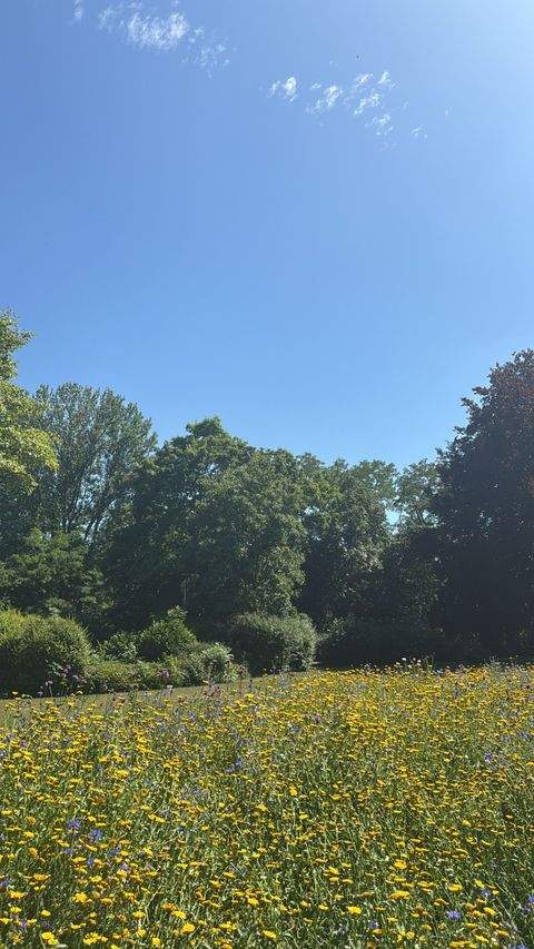 Wuppertal Grundstücke, Wuppertal Grundstück kaufen