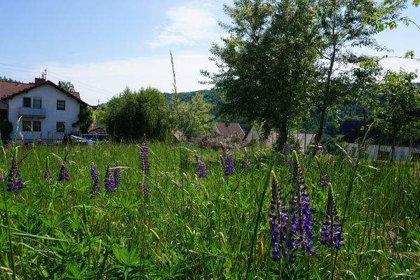 Grundstück oben und Nachbarn