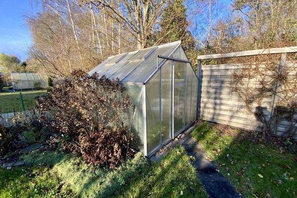 Gewächshaus