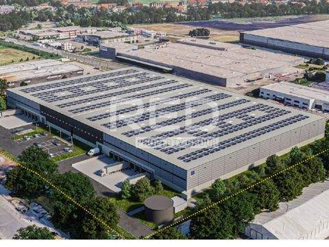 Oberhausen Halle, Oberhausen Hallenfläche