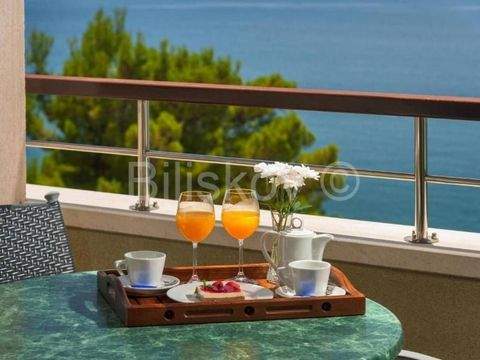 Gradac Ladenlokale, Ladenflächen 