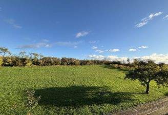 angrenzende Wiesenfläche in Ortsrandlage