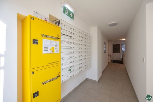 Bild 19