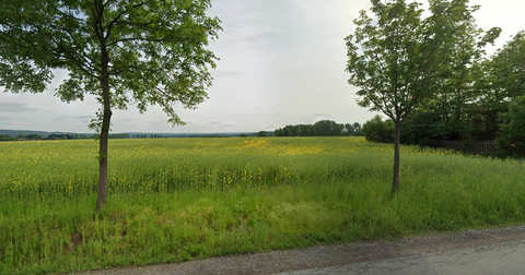 Chemnitz Grundstücke, Chemnitz Grundstück kaufen