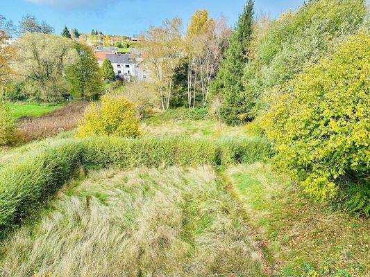 Mit riesigem Grundstück