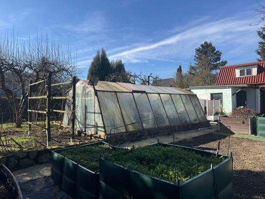 Zurück zu den Wurzeln