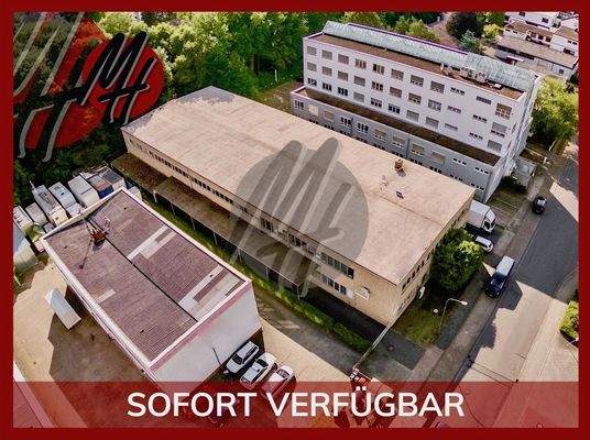 INFOS UNTER: 06171-586000