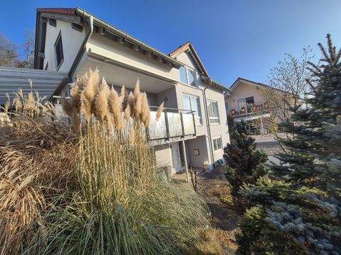 Spiegelberg Häuser, Spiegelberg Haus kaufen