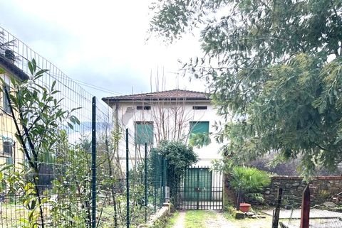 Barga (Lucca) Häuser, Barga (Lucca) Haus kaufen