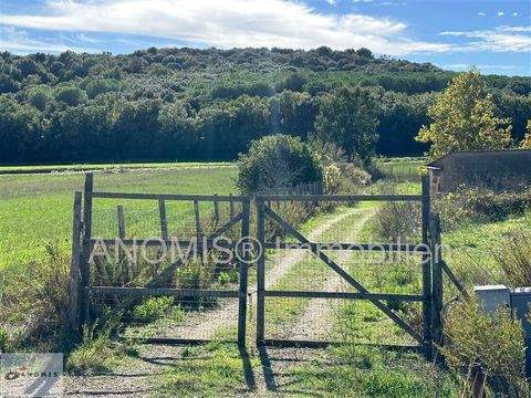Massa Marittima Grundstücke, Massa Marittima Grundstück kaufen