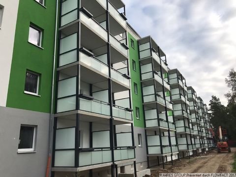 Greifswald Wohnungen, Greifswald Wohnung mieten