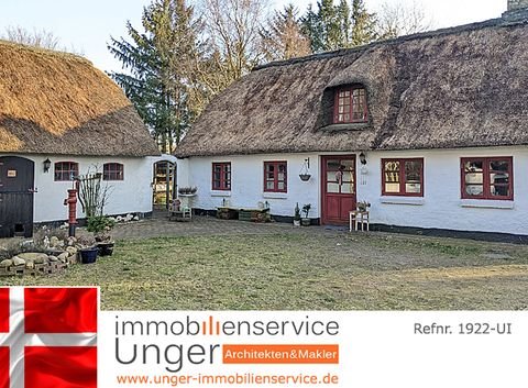 Ribe Häuser, Ribe Haus kaufen