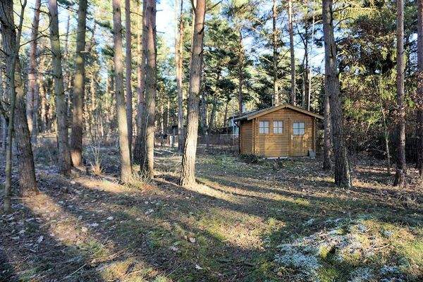 Grundstück vorne (3).JPG