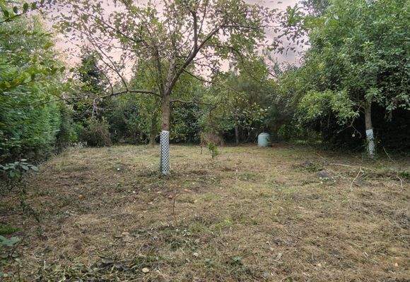 auf 996m² Grundstück