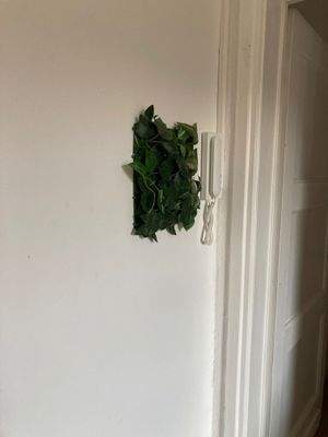 Detail mit Sprechanlage