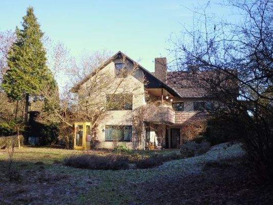 Blick aus dem Garten