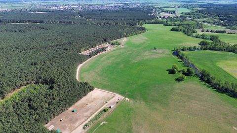 Krzyz Bauernhöfe, Landwirtschaft, Krzyz Forstwirtschaft