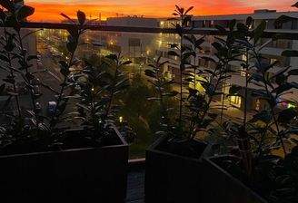 Blick von der Terrasse