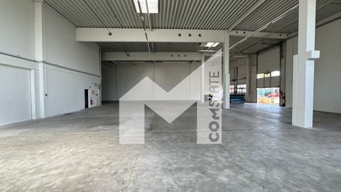 Neuss Halle, Neuss Hallenfläche
