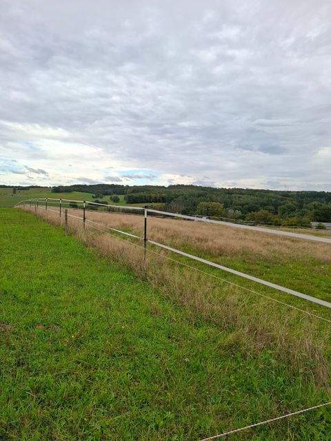 Altenkirchen (Westerwald) Häuser, Altenkirchen (Westerwald) Haus kaufen